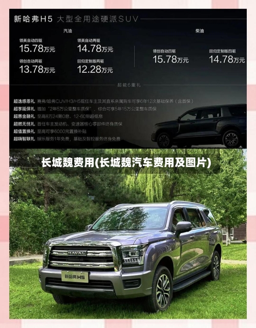 长城魏费用(长城魏汽车费用及图片)
