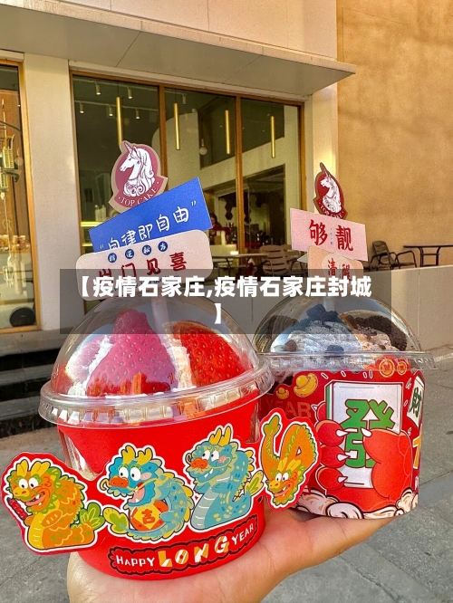 【疫情石家庄,疫情石家庄封城】