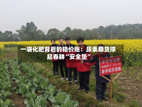 一袋化肥背后的稳价账：尿素期货撑起春耕“安全垫	”-第2张图片