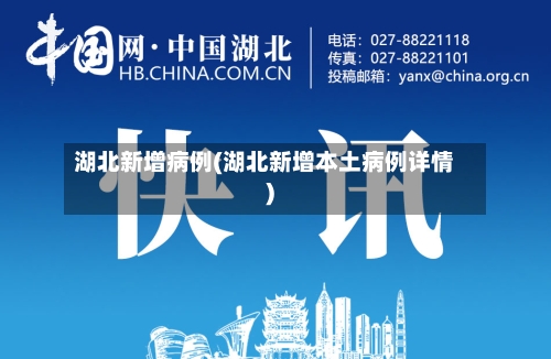 湖北新增病例(湖北新增本土病例详情)-第2张图片