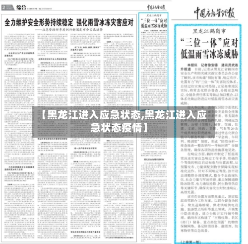 【黑龙江进入应急状态,黑龙江进入应急状态疫情】-第2张图片