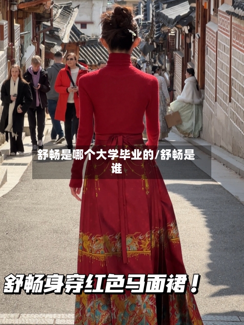 舒畅是哪个大学毕业的/舒畅是谁-第2张图片