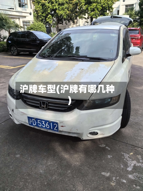 沪牌车型(沪牌有哪几种)
