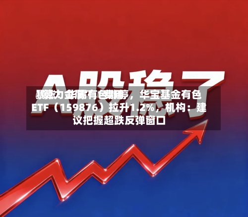“算力金属”	，费用暴涨！华锡有色涨停，华宝基金有色ETF（159876）拉升1.2%，机构：建议把握超跌反弹窗口-第3张图片