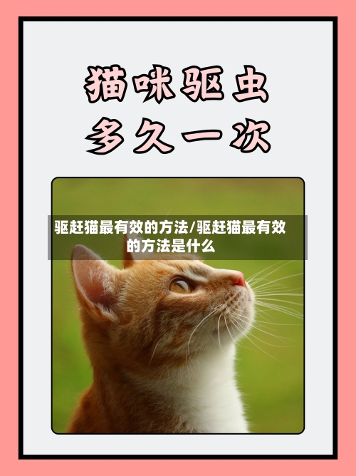 驱赶猫最有效的方法/驱赶猫最有效的方法是什么