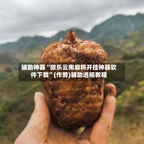 辅助神器“微乐云南麻将开挂神器软件下载”(作弊)辅助透视教程