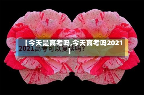 【今天是高考吗,今天高考吗2021】-第3张图片