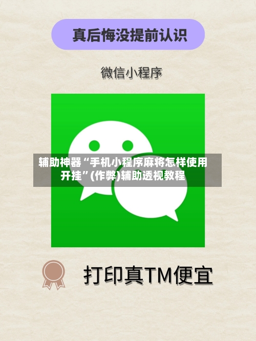 辅助神器“手机小程序麻将怎样使用开挂”(作弊)辅助透视教程-第2张图片