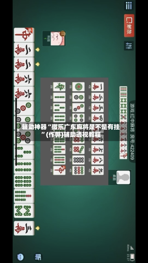 辅助神器“微乐广东麻将是不是有挂”(作弊)辅助透视教程-第2张图片
