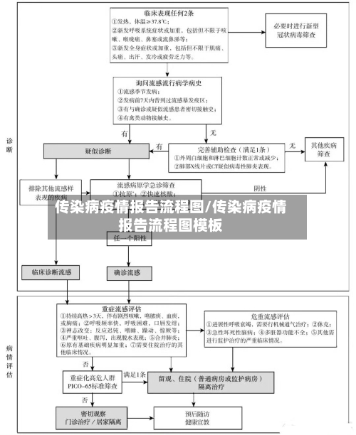 传染病疫情报告流程图/传染病疫情报告流程图模板