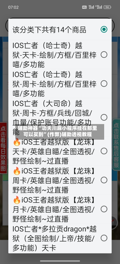 辅助神器“功夫川麻小程序挂在那里可以买到”(作弊)辅助透视教程-第3张图片
