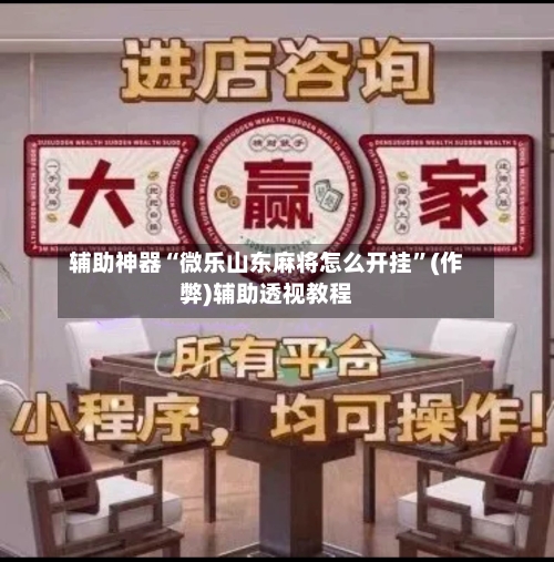 辅助神器“微乐山东麻将怎么开挂”(作弊)辅助透视教程-第2张图片