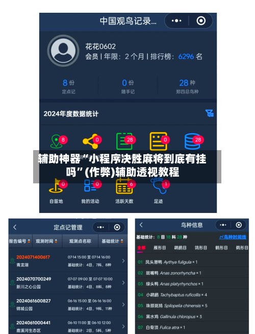 辅助神器“小程序决胜麻将到底有挂吗”(作弊)辅助透视教程-第2张图片
