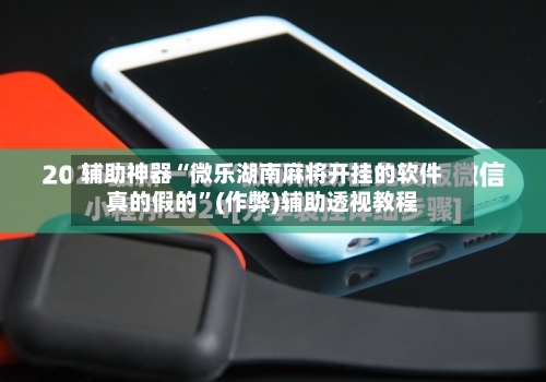 辅助神器“微乐湖南麻将开挂的软件真的假的”(作弊)辅助透视教程-第2张图片