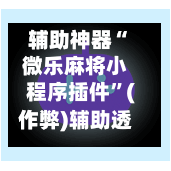辅助神器“微乐麻将小程序插件”(作弊)辅助透视教程-第2张图片
