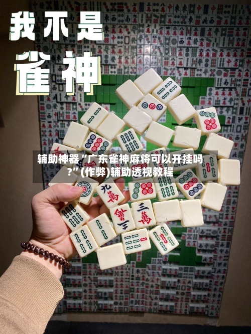 辅助神器“广东雀神麻将可以开挂吗?	”(作弊)辅助透视教程-第3张图片