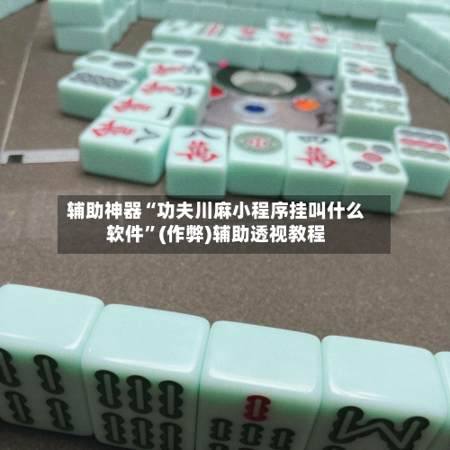 辅助神器“功夫川麻小程序挂叫什么软件”(作弊)辅助透视教程-第3张图片