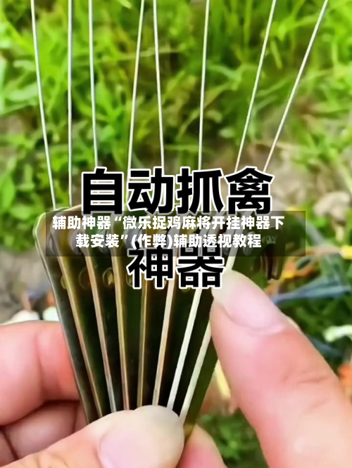 辅助神器“微乐捉鸡麻将开挂神器下载安装”(作弊)辅助透视教程-第3张图片