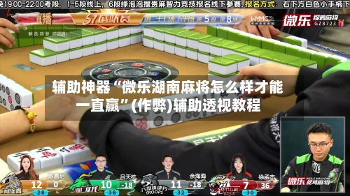 辅助神器“微乐湖南麻将怎么样才能一直赢”(作弊)辅助透视教程-第2张图片