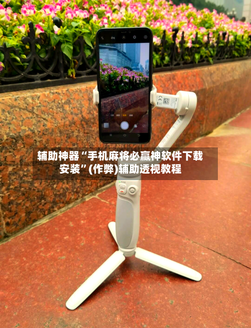 辅助神器“手机麻将必赢神软件下载安装	”(作弊)辅助透视教程-第3张图片