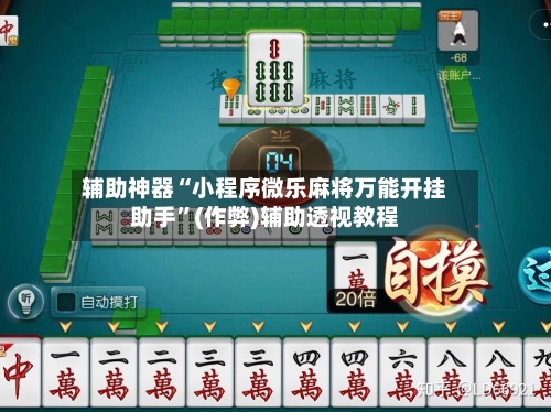 辅助神器“小程序微乐麻将万能开挂助手”(作弊)辅助透视教程-第3张图片