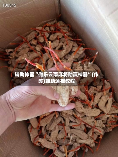 辅助神器“微乐云南麻将助赢神器”(作弊)辅助透视教程-第2张图片