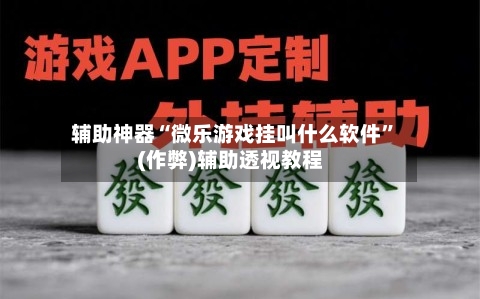 辅助神器“微乐游戏挂叫什么软件”(作弊)辅助透视教程-第2张图片