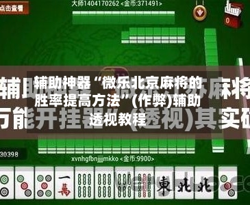 辅助神器“微乐北京麻将的胜率提高方法”(作弊)辅助透视教程-第2张图片