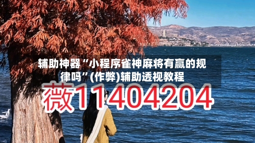 辅助神器“小程序雀神麻将有赢的规律吗”(作弊)辅助透视教程-第2张图片