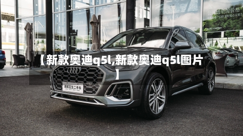 【新款奥迪q5l,新款奥迪q5l图片】-第2张图片