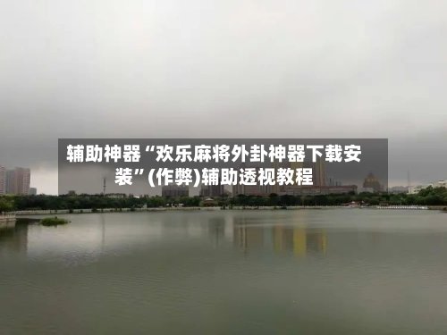 辅助神器“欢乐麻将外卦神器下载安装”(作弊)辅助透视教程-第3张图片
