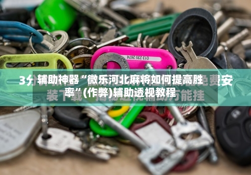 辅助神器“微乐河北麻将如何提高胜率”(作弊)辅助透视教程