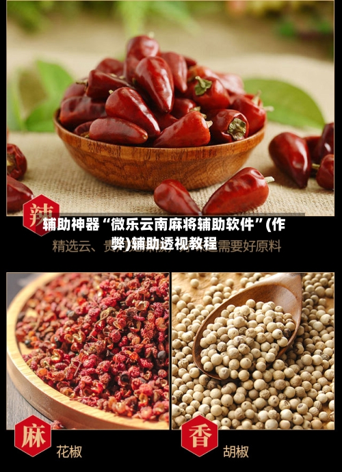 辅助神器“微乐云南麻将辅助软件”(作弊)辅助透视教程