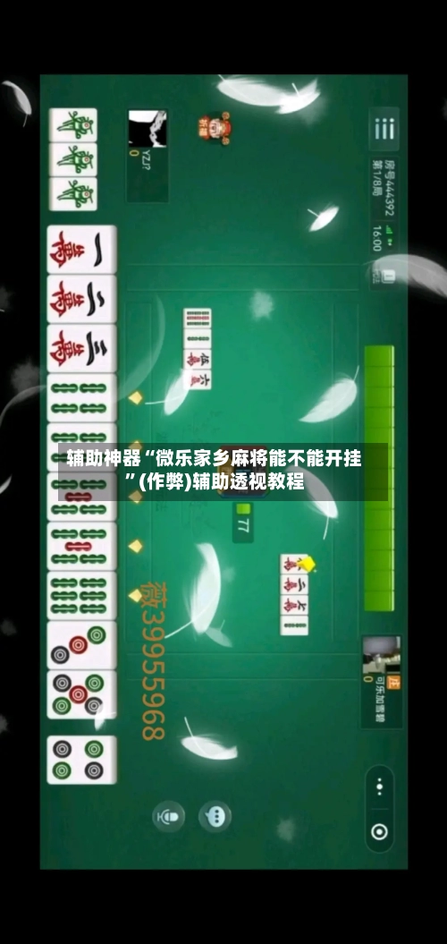辅助神器“微乐家乡麻将能不能开挂”(作弊)辅助透视教程-第2张图片