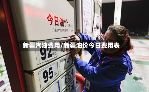 新疆汽油费用/新疆油价今日费用表