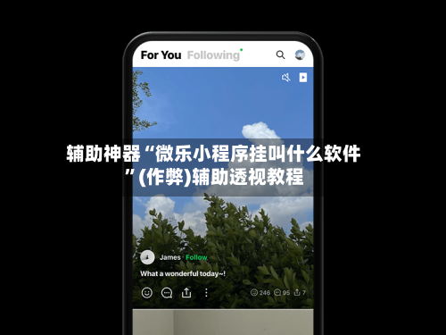 辅助神器“微乐小程序挂叫什么软件	”(作弊)辅助透视教程-第3张图片