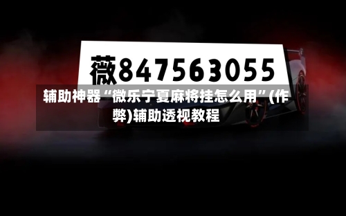 辅助神器“微乐宁夏麻将挂怎么用”(作弊)辅助透视教程