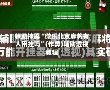 辅助神器“微乐北京麻将有人用挂吗”(作弊)辅助透视教程