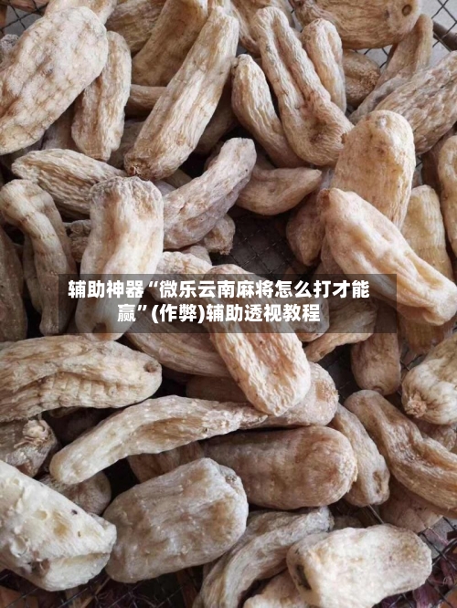 辅助神器“微乐云南麻将怎么打才能赢”(作弊)辅助透视教程-第2张图片