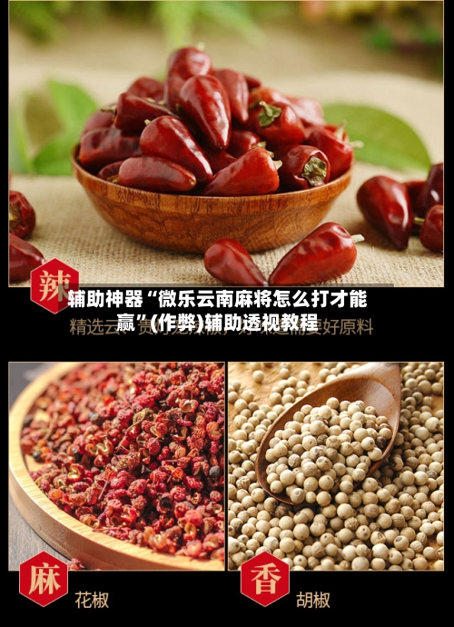 辅助神器“微乐云南麻将怎么打才能赢”(作弊)辅助透视教程