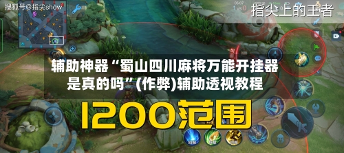辅助神器“蜀山四川麻将万能开挂器是真的吗	”(作弊)辅助透视教程-第3张图片
