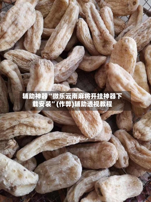 辅助神器“微乐云南麻将开挂神器下载安装”(作弊)辅助透视教程