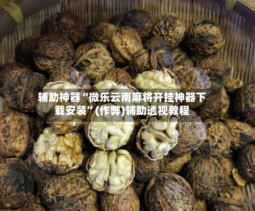 辅助神器“微乐云南麻将开挂神器下载安装”(作弊)辅助透视教程-第3张图片