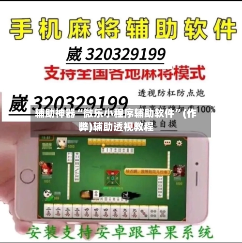 辅助神器“微乐小程序辅助软件”(作弊)辅助透视教程-第2张图片