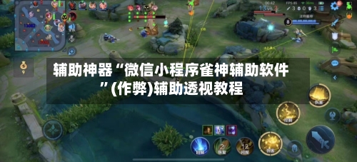 辅助神器“微信小程序雀神辅助软件”(作弊)辅助透视教程-第2张图片