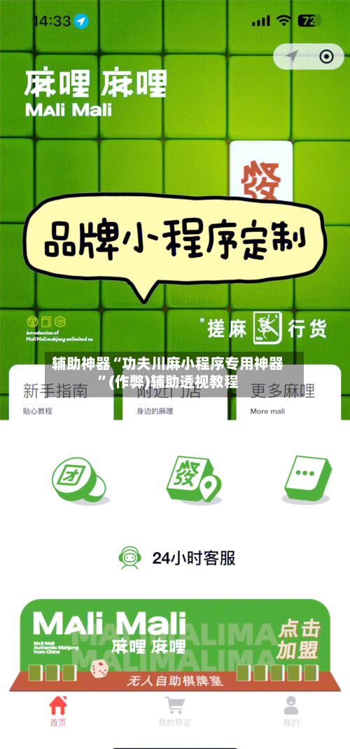 辅助神器“功夫川麻小程序专用神器”(作弊)辅助透视教程-第3张图片