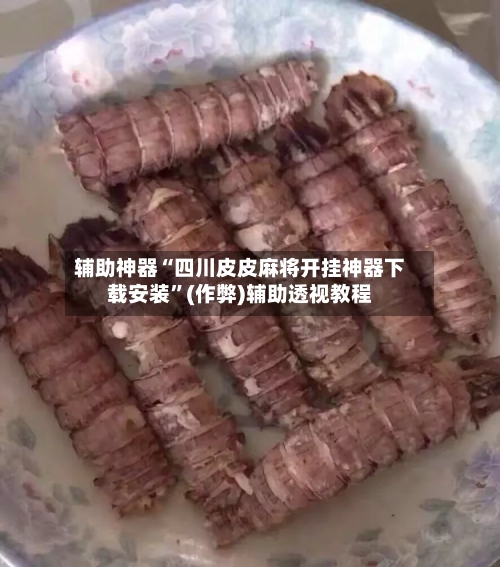辅助神器“四川皮皮麻将开挂神器下载安装”(作弊)辅助透视教程-第2张图片
