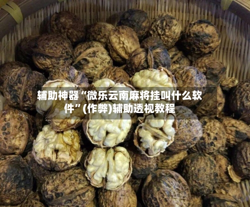 辅助神器“微乐云南麻将挂叫什么软件”(作弊)辅助透视教程-第2张图片