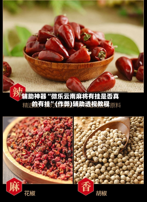辅助神器“微乐云南麻将有挂是否真的有挂”(作弊)辅助透视教程
