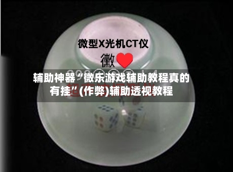 辅助神器“微乐游戏辅助教程真的有挂”(作弊)辅助透视教程-第3张图片